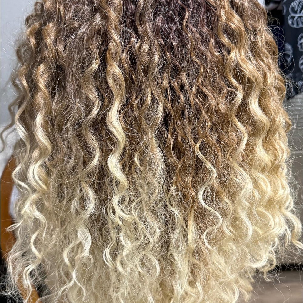 Curly Ombre Blonde and Brown Wig
